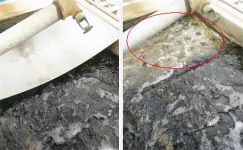 冷卻塔藻類(lèi)處理案例