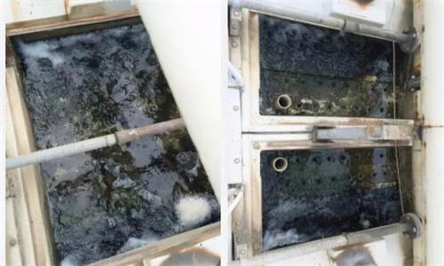 冷卻塔藻類(lèi)滋生的危害